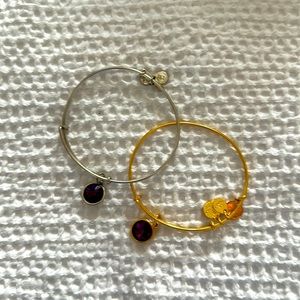 Alex and Ani - Amethyst Charm Bracelets